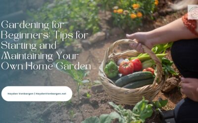 Gardening for Beginners: Tips for Starting and Maintaining Your Own Home Garden